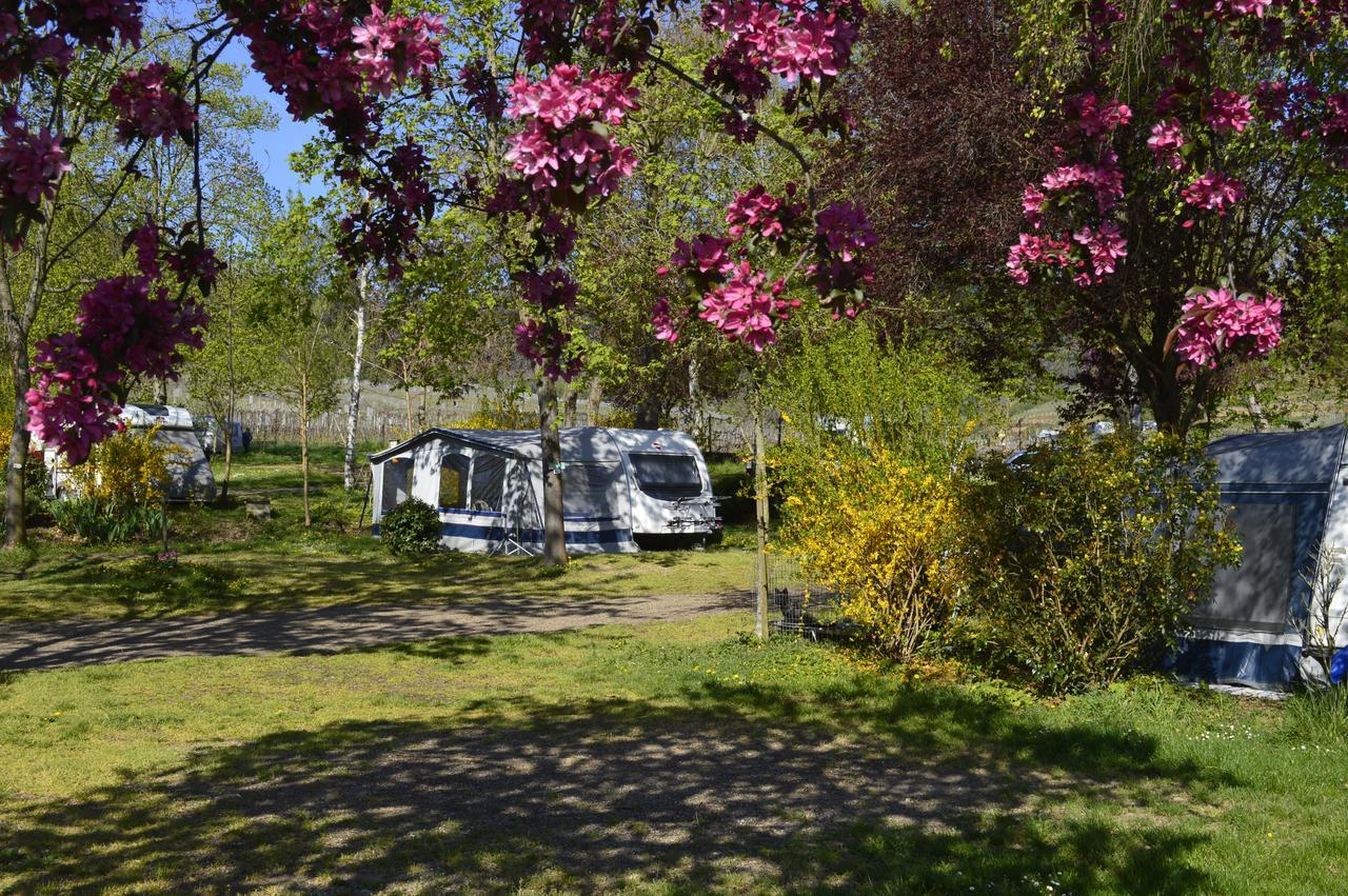 Camping Les Trois Chateaux Hotel Eguisheim Kültér fotó