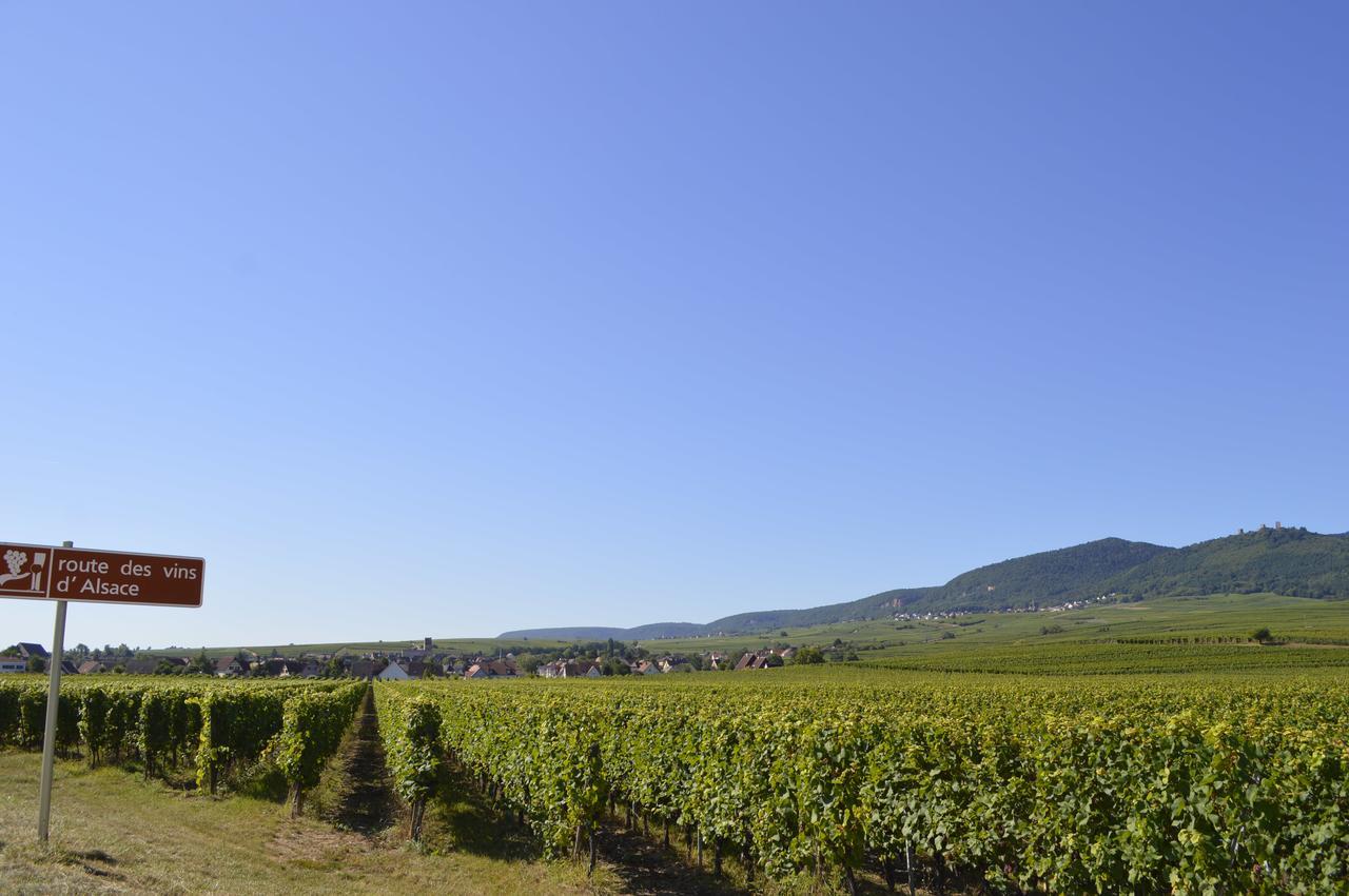 Camping Les Trois Chateaux Hotel Eguisheim Kültér fotó